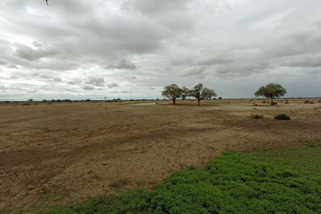 Kenia (403).jpg